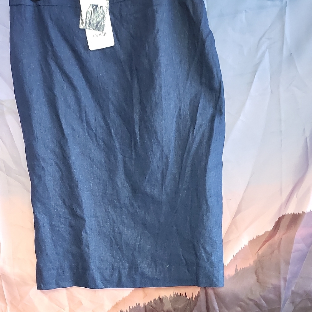DJI Elegant Navy Pencil Skirt Nwt